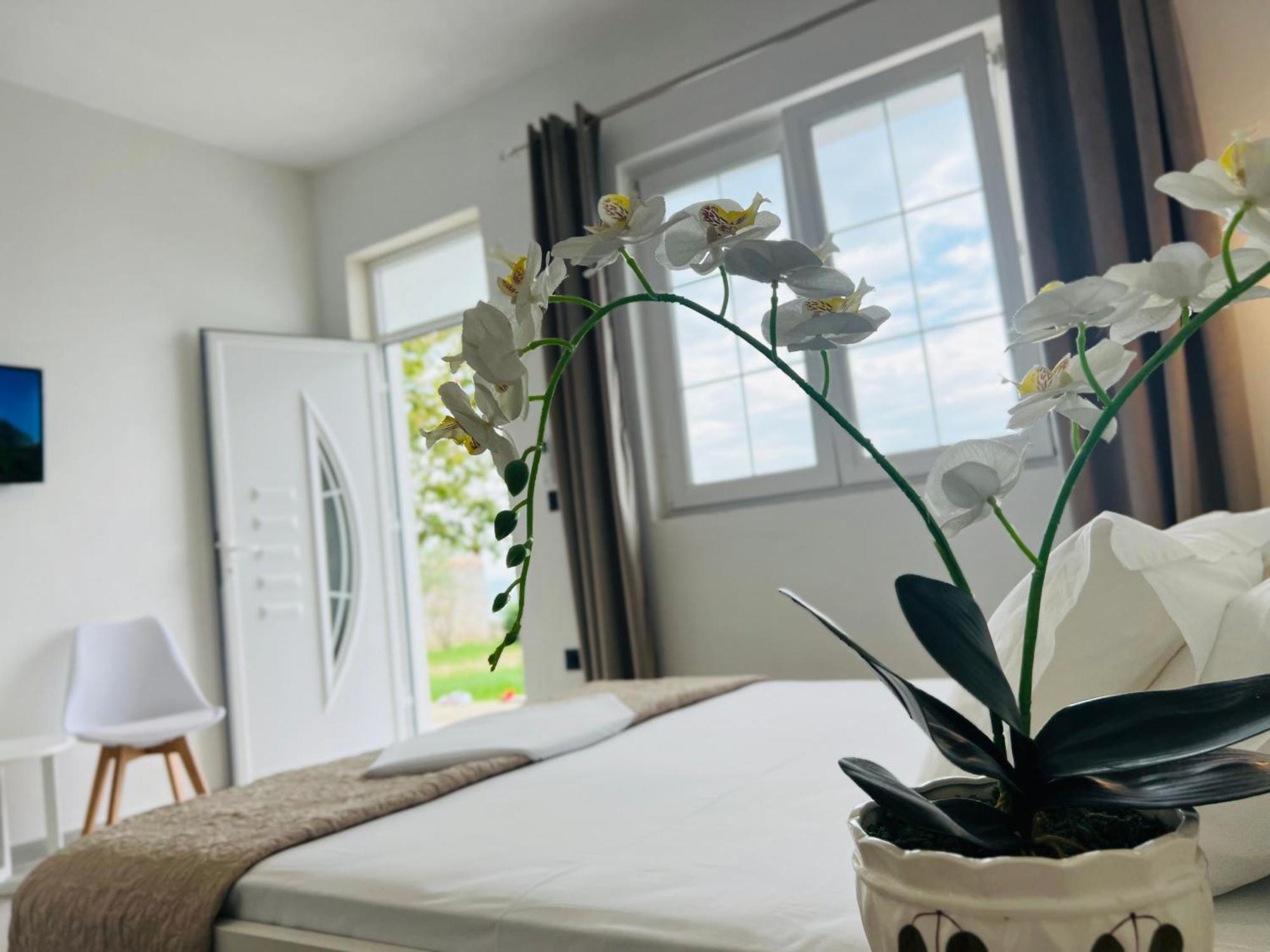 Iart Residence Široka Zewnętrze zdjęcie